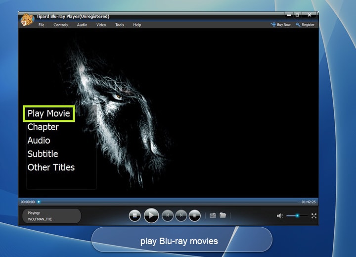 Blu Ray Mastering Software